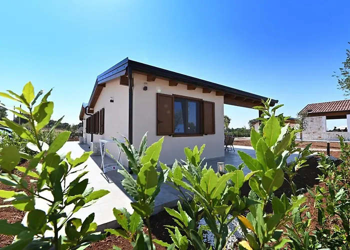 Boara Сasa de vacaciones