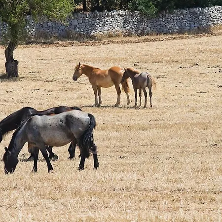 Σπίτι διακοπών Boara Mottola
