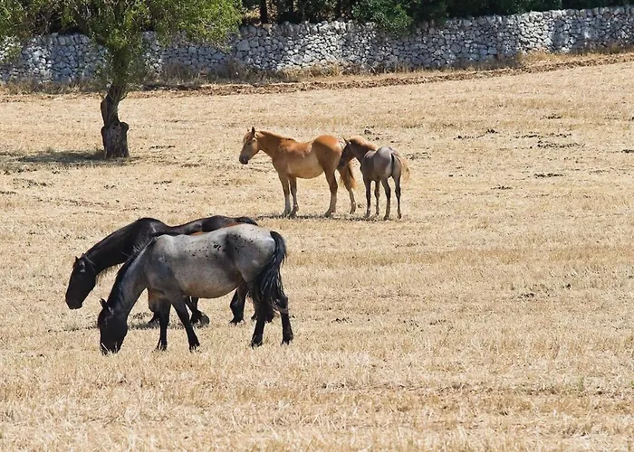Tatil Evi Boara Mottola